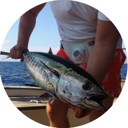 Tuna Big Game fishing