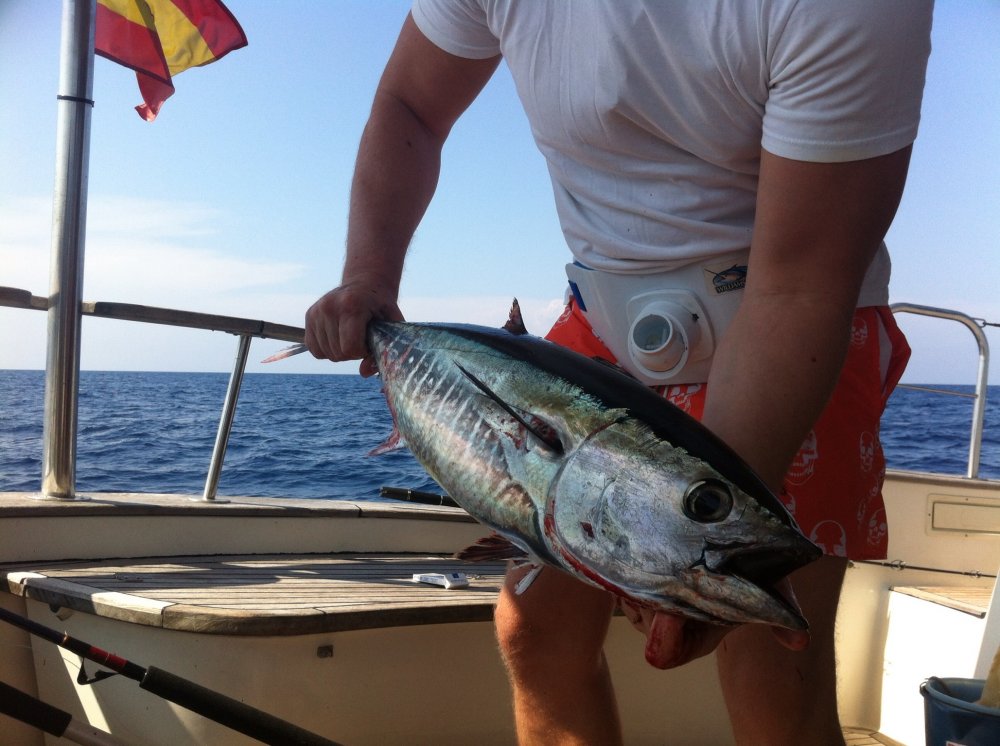 pesca del atún en Barcelona con charterinad